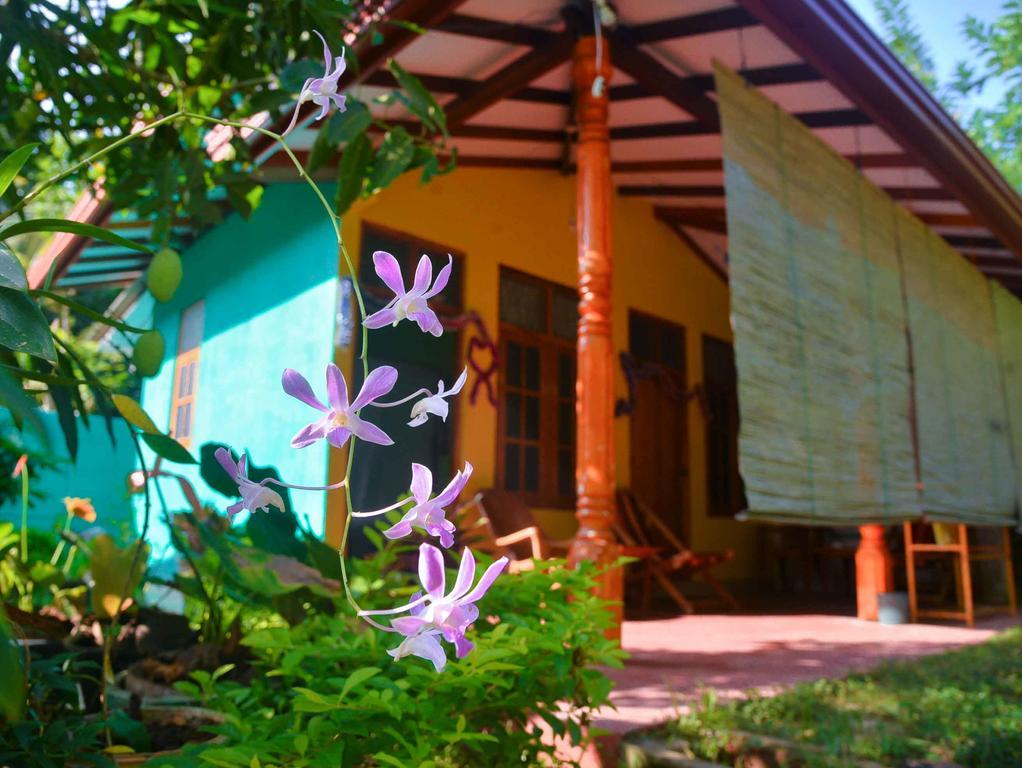 Nethmi Homestay & Restaurant Тангале Екстериор снимка