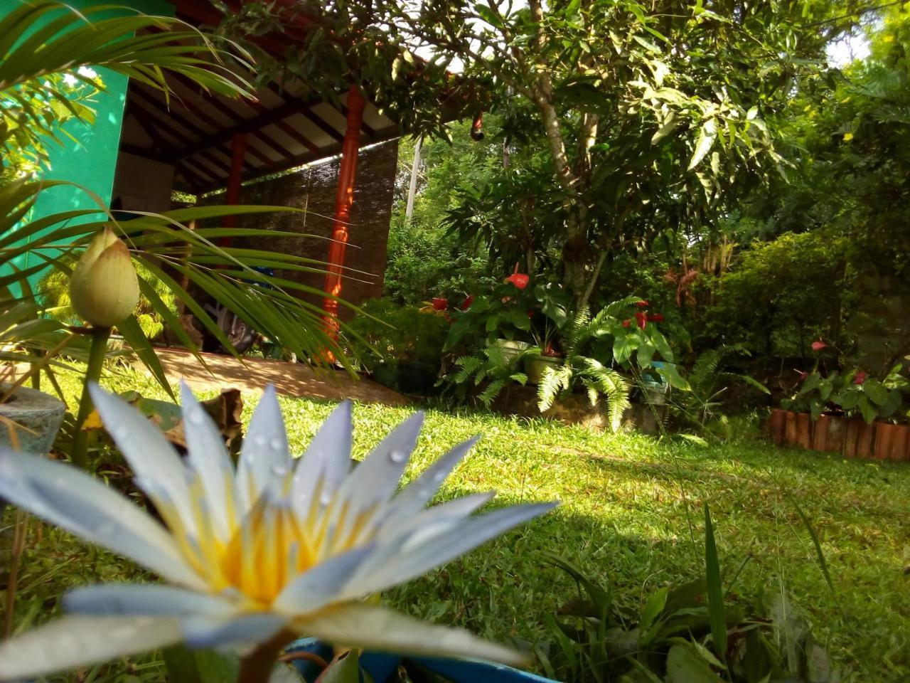 Nethmi Homestay & Restaurant Тангале Екстериор снимка